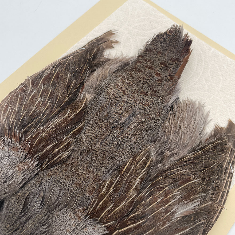 ϥ󥬥ꥢѡȥåץ꡼ȥ SAɥ NO.4