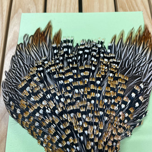 ジャングルコック センパーフライ シンセティックジャングルコック | TIEMCOフライ