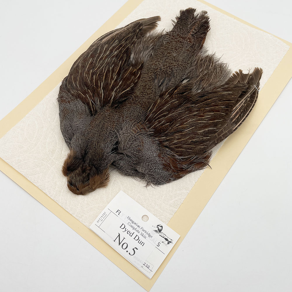 ϥ󥬥ꥢѡȥåץ꡼ȥ SAɥ NO.5