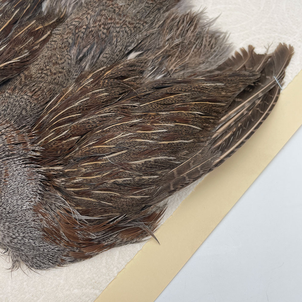 ϥ󥬥ꥢѡȥåץ꡼ȥ SAɥ NO.5