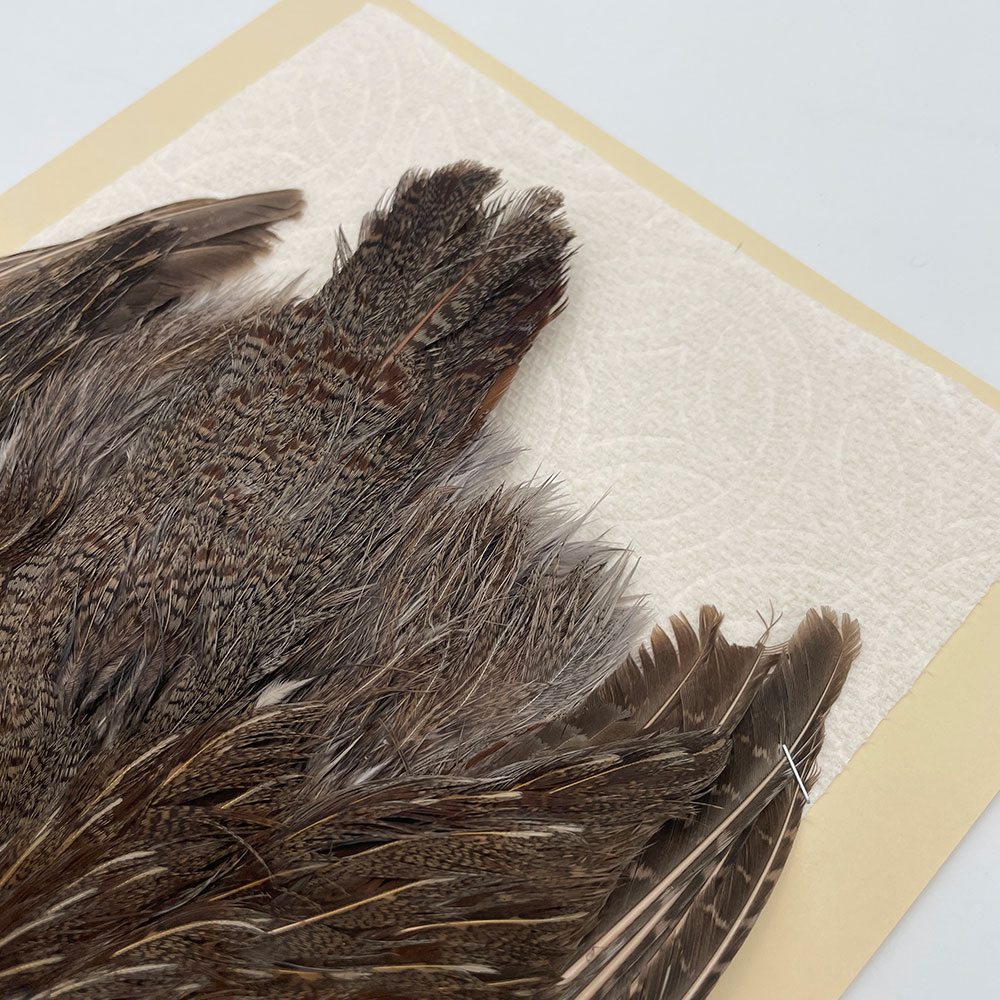 ϥ󥬥ꥢѡȥåץ꡼ȥ SAɥ NO.5