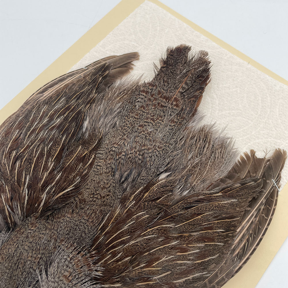 ϥ󥬥ꥢѡȥåץ꡼ȥ SAɥ NO.5