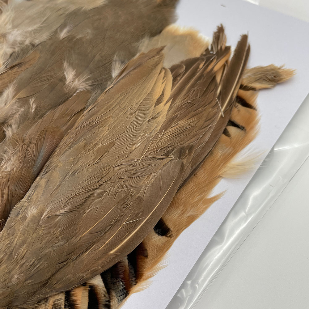 CANAL社 French Partridge （フレンチパートリッジ）コンプリート