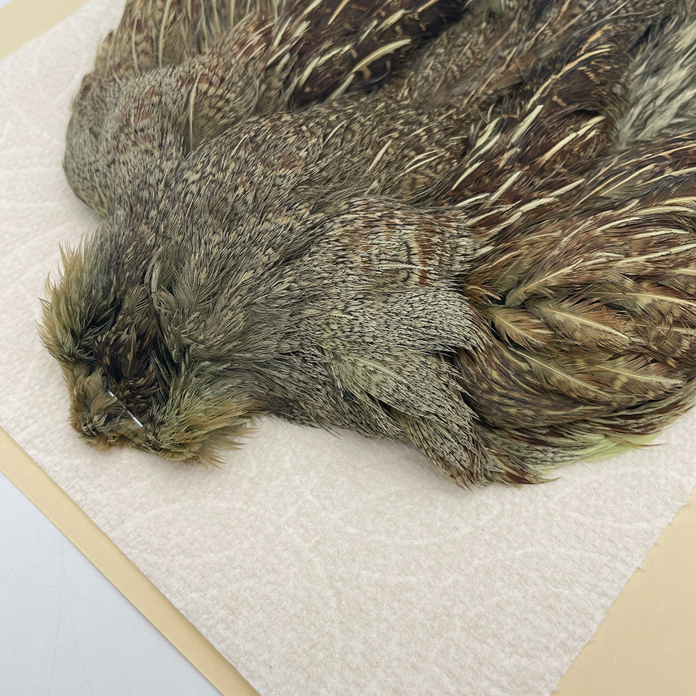 ϥ󥬥ꥢѡȥåץ꡼ȥ SAɥ꡼ NO.1