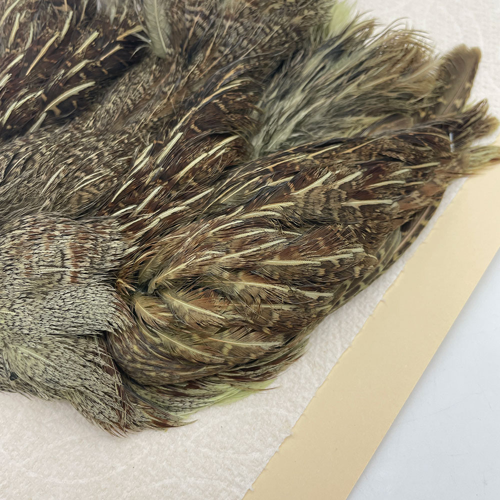 ϥ󥬥ꥢѡȥåץ꡼ȥ SAɥ꡼ NO.1