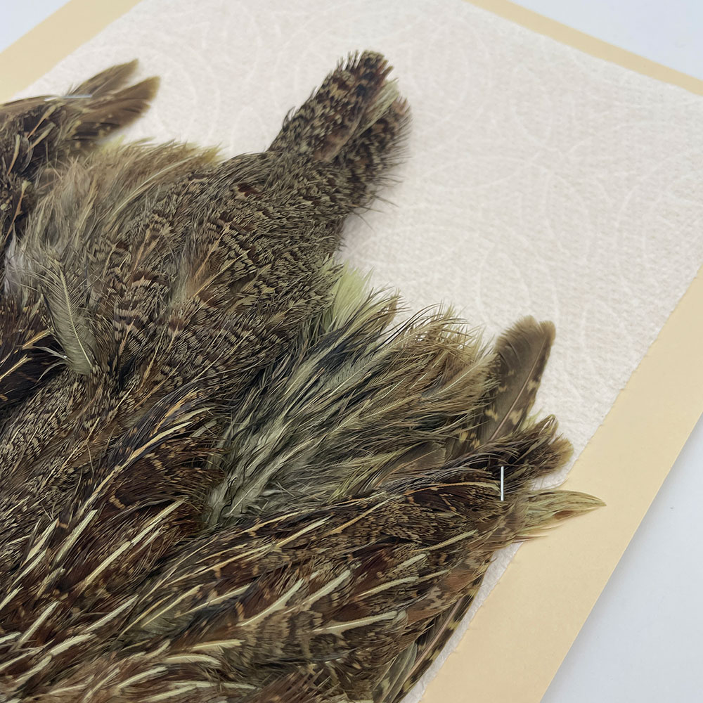 ϥ󥬥ꥢѡȥåץ꡼ȥ SAɥ꡼ NO.1