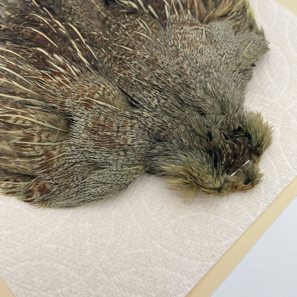 ϥ󥬥ꥢѡȥåץ꡼ȥ SAɥ꡼ NO.1