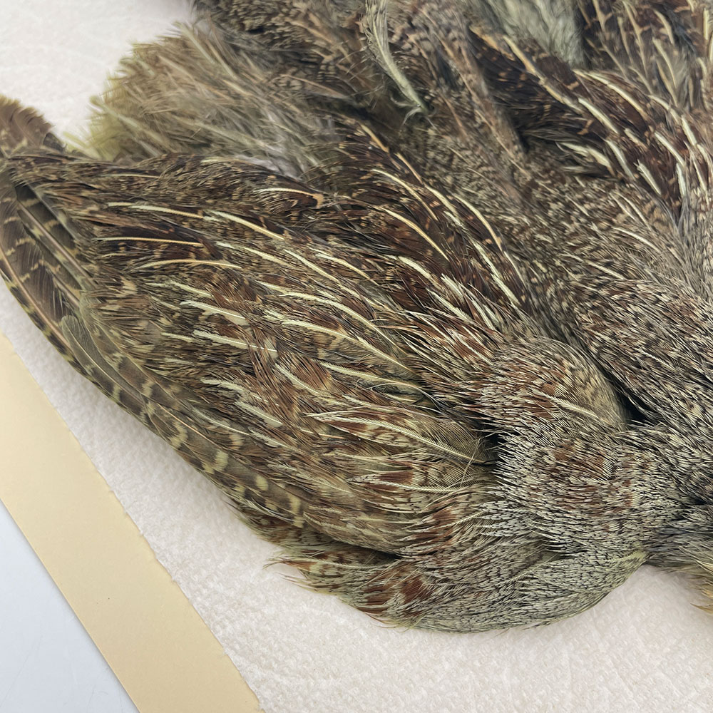 ϥ󥬥ꥢѡȥåץ꡼ȥ SAɥ꡼ NO.1