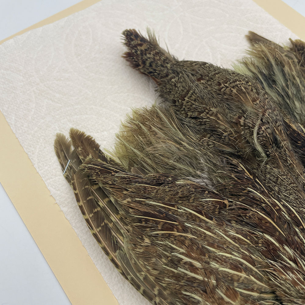 ϥ󥬥ꥢѡȥåץ꡼ȥ SAɥ꡼ NO.1