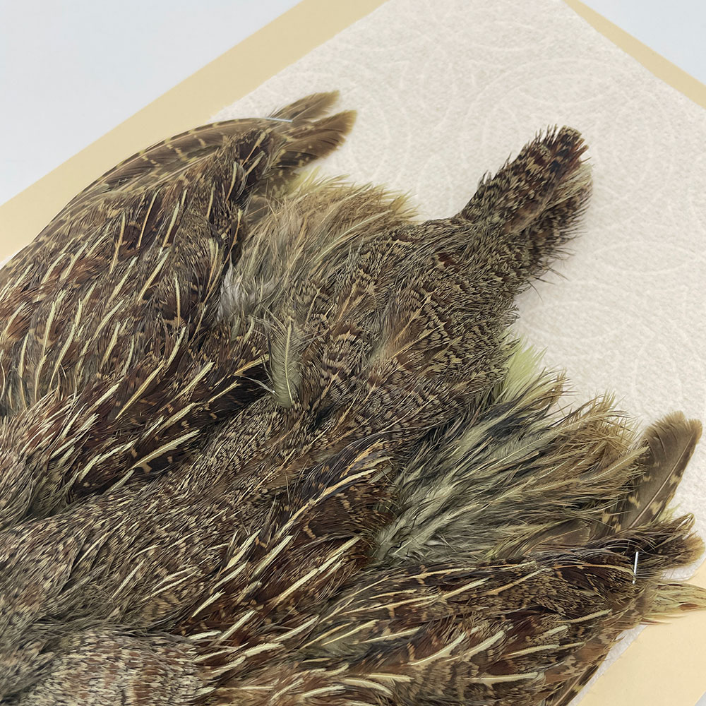 ϥ󥬥ꥢѡȥåץ꡼ȥ SAɥ꡼ NO.1