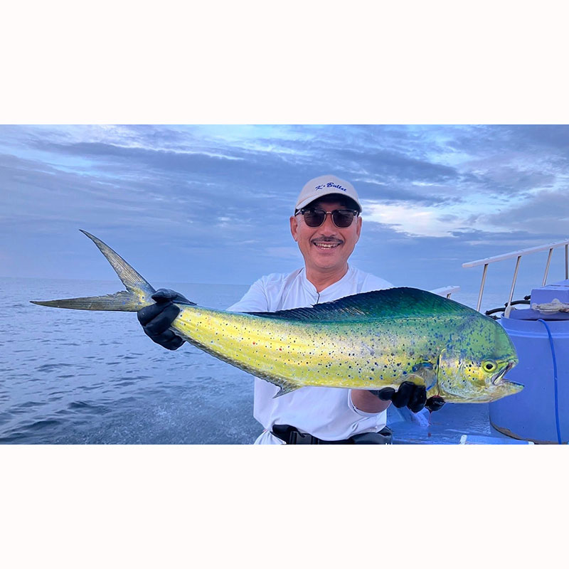 ��KIWAMI #10 (8ft 10inch)