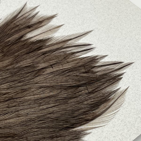 KEOUGH �ϥå��륱���ס��������֥롼�����No.4��