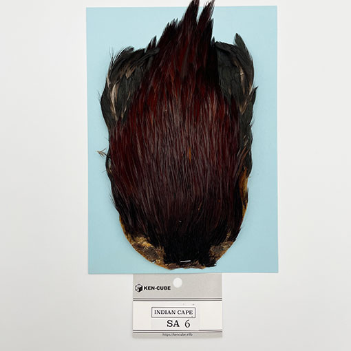 KEN-CUBE�ҡ�����ǥ����󥱡��� ���졼��SA �֥饦��