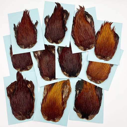 KEN-CUBE�ҡ�����ǥ����󥱡��� ���졼��SA �֥饦��