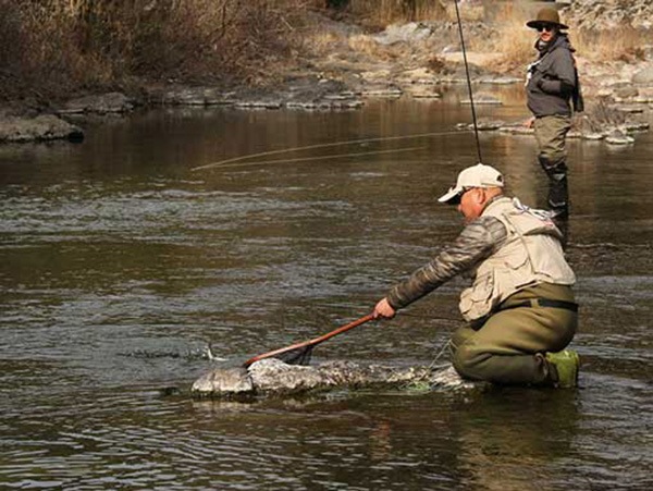 ʾòSUGISAKA NET꡼ ֥󥰥åץͥåȡץСåСʥ֥å