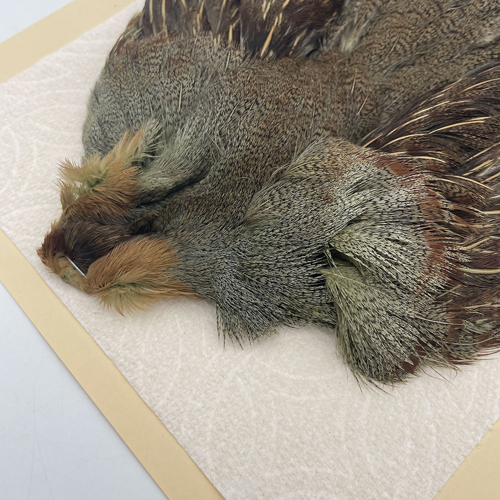 ϥ󥬥ꥢѡȥåץ꡼ȥ SAɥ꡼ NO.2