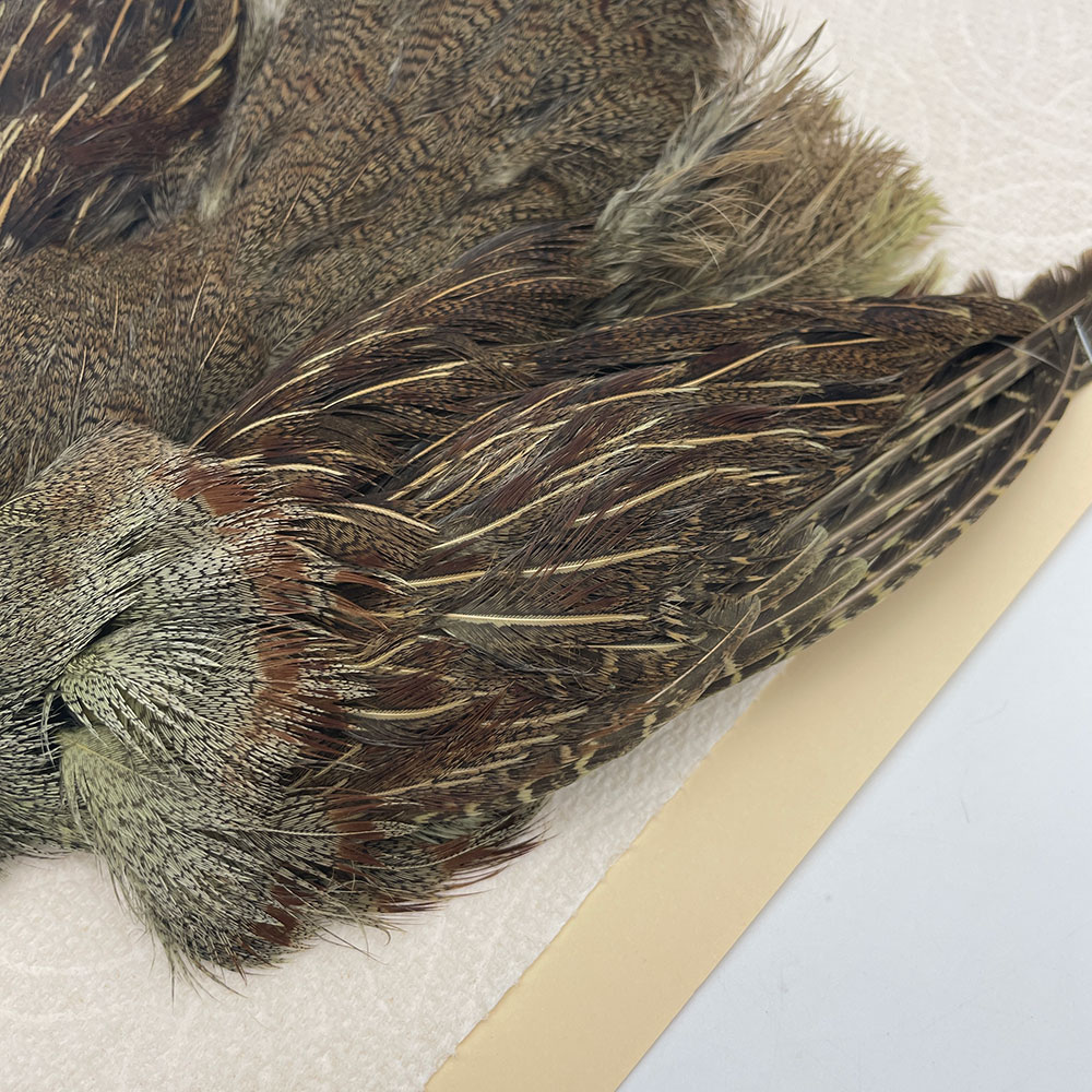 ϥ󥬥ꥢѡȥåץ꡼ȥ SAɥ꡼ NO.2