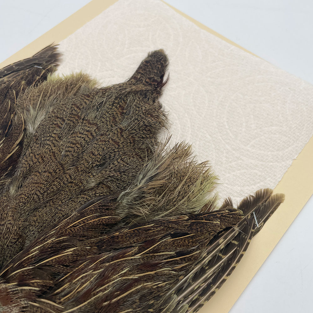 ϥ󥬥ꥢѡȥåץ꡼ȥ SAɥ꡼ NO.2