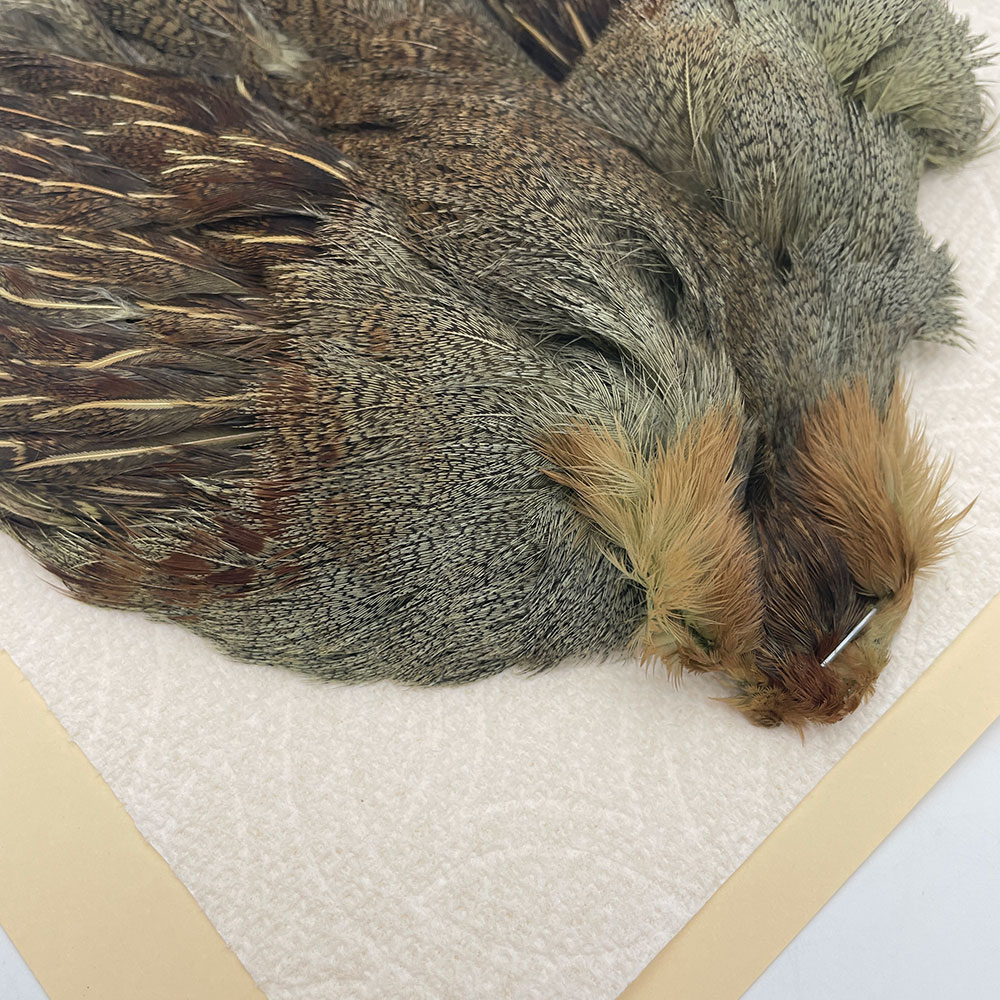 ϥ󥬥ꥢѡȥåץ꡼ȥ SAɥ꡼ NO.2