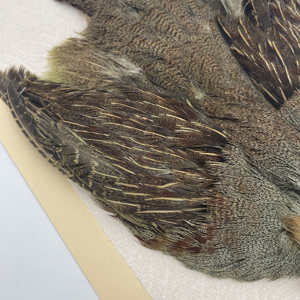 ϥ󥬥ꥢѡȥåץ꡼ȥ SAɥ꡼ NO.2