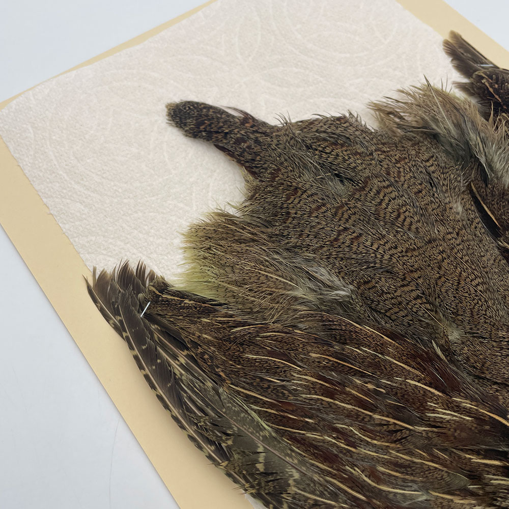 ϥ󥬥ꥢѡȥåץ꡼ȥ SAɥ꡼ NO.2