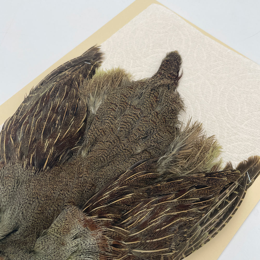 ϥ󥬥ꥢѡȥåץ꡼ȥ SAɥ꡼ NO.2