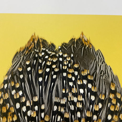 Ken-Cube ジャングルコック Grade SA （No.2）