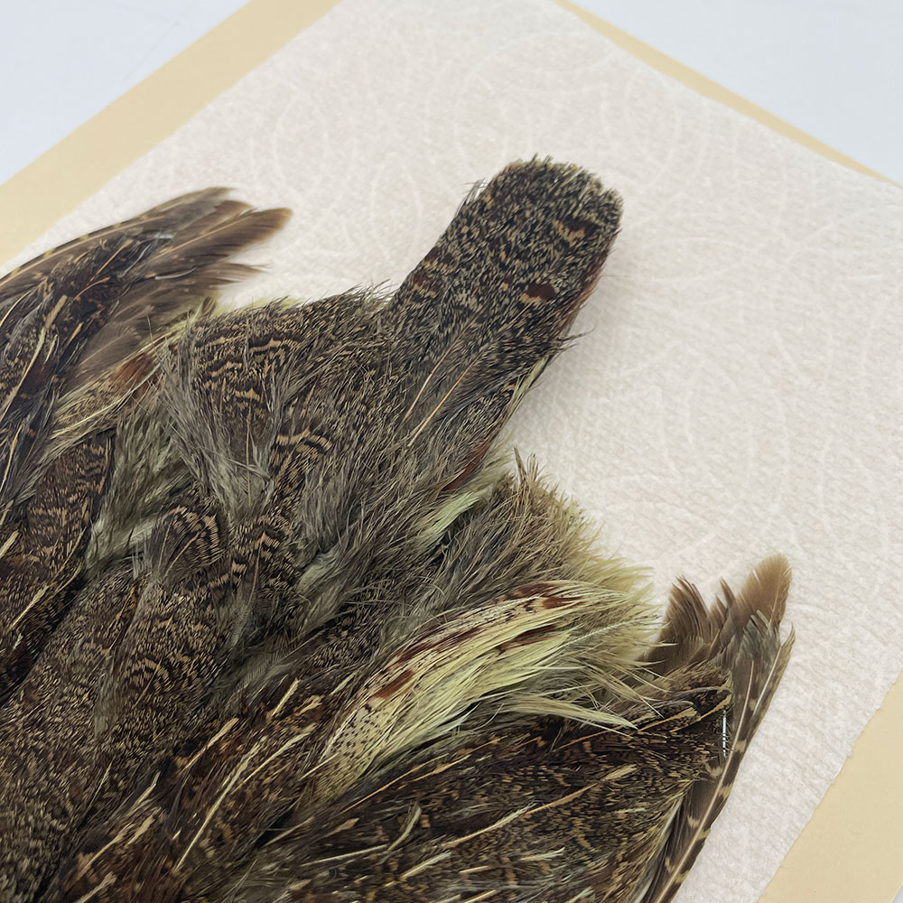 ϥ󥬥ꥢѡȥåץ꡼ȥ SAɥ꡼ NO.3