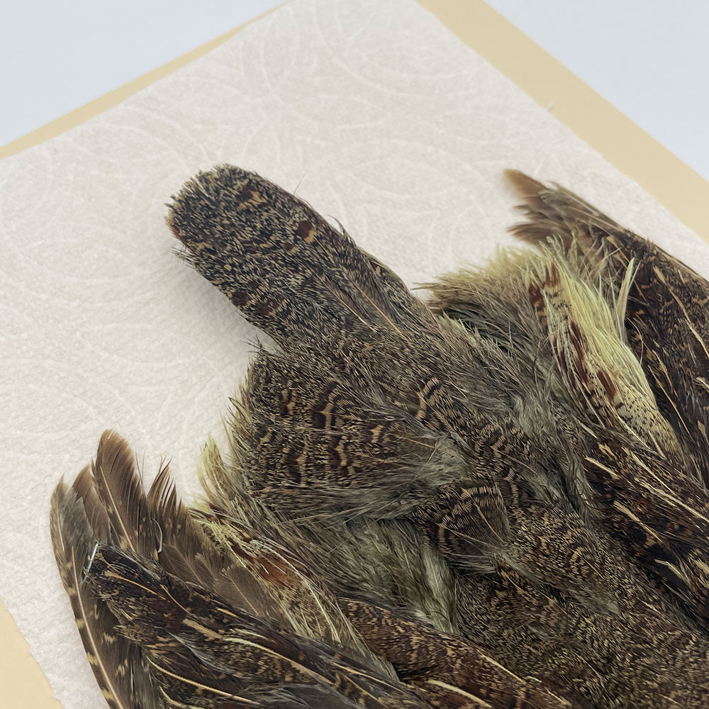 ϥ󥬥ꥢѡȥåץ꡼ȥ SAɥ꡼ NO.3