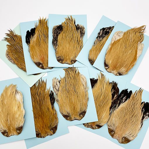 KEN-CUBE�ҡ�����ǥ����󥱡��� ���졼��SA ���󥸥㡼