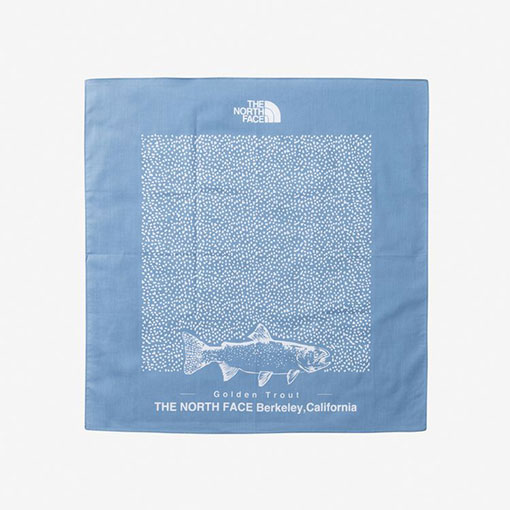 THE NORTH FACE ǥȥ饦ȥХ