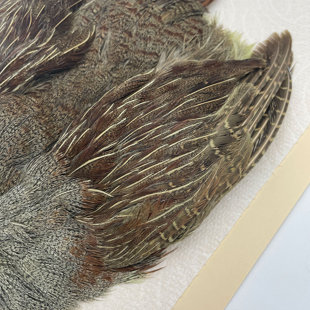 ϥ󥬥ꥢѡȥåץ꡼ȥ SAɥ꡼ NO.4