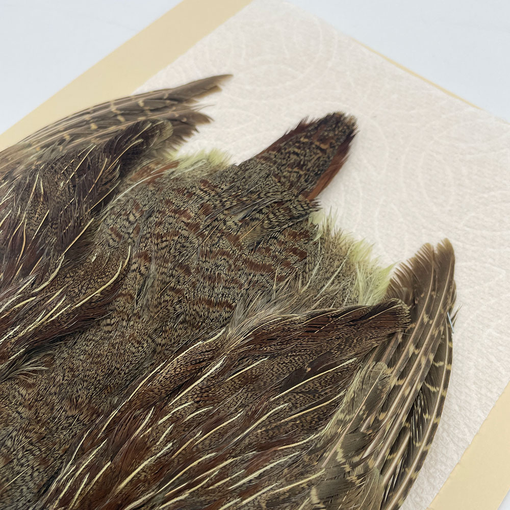 ϥ󥬥ꥢѡȥåץ꡼ȥ SAɥ꡼ NO.4