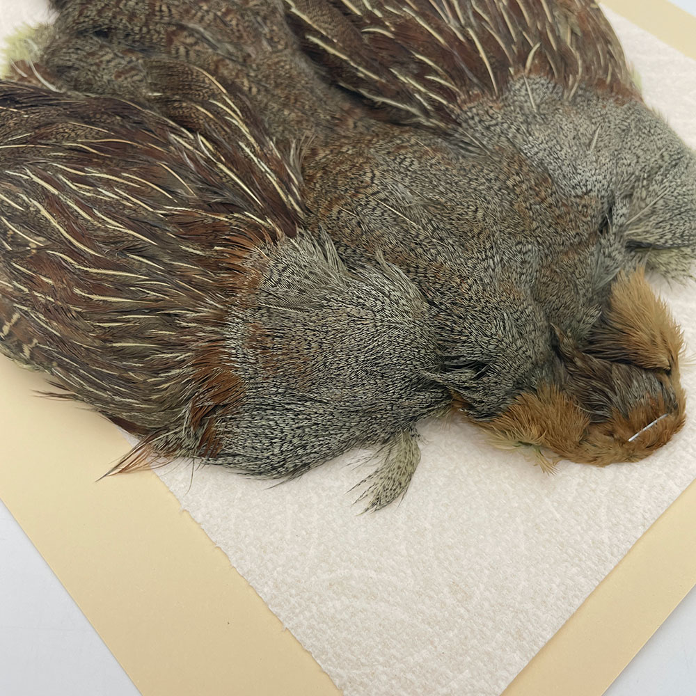 ϥ󥬥ꥢѡȥåץ꡼ȥ SAɥ꡼ NO.4