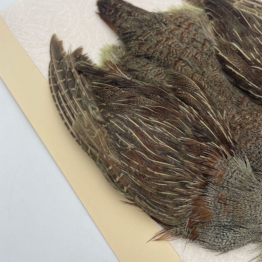 ϥ󥬥ꥢѡȥåץ꡼ȥ SAɥ꡼ NO.4