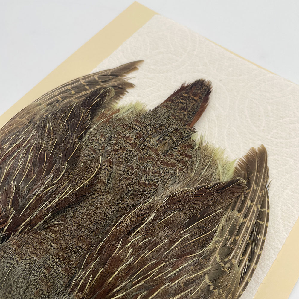 ϥ󥬥ꥢѡȥåץ꡼ȥ SAɥ꡼ NO.4