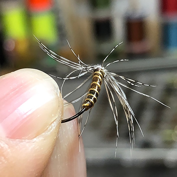 【訳あり特価】SUPERFLOSS スーパーフロス8色セット(ラバーレッグ)