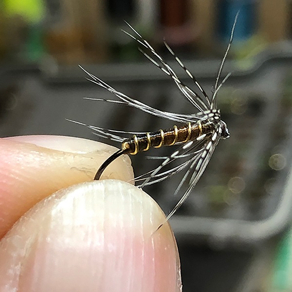 【旧裏】ラプラス カブトプス オーダイル キングドラ ホロ 9枚セット プレイ用 YGK (よつあみ) エックスブレイド オルトロスPE WX8 フィネス