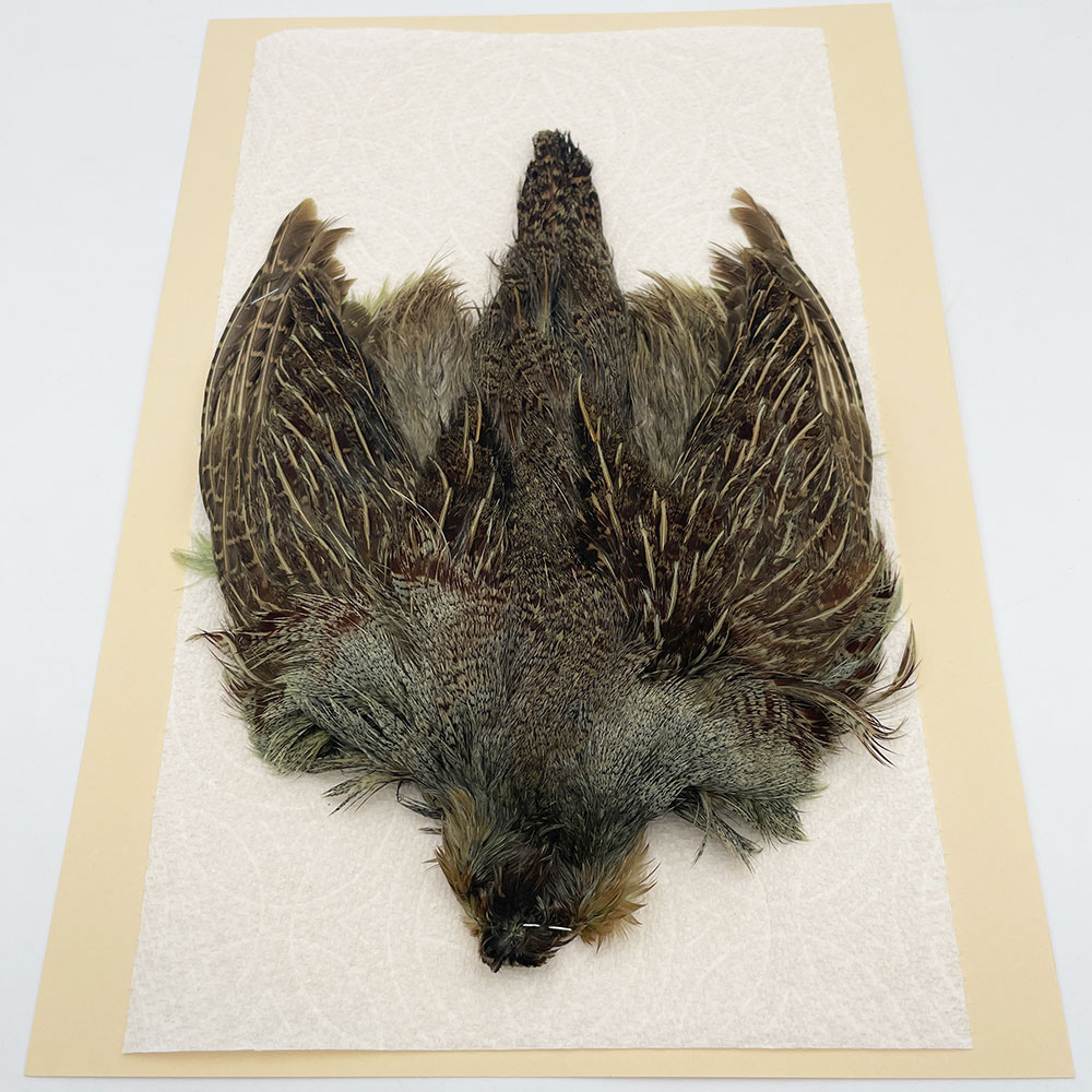 ԡϥ󥬥ꥢѡȥåץ꡼ȥ SAɥ꡼ NO.5