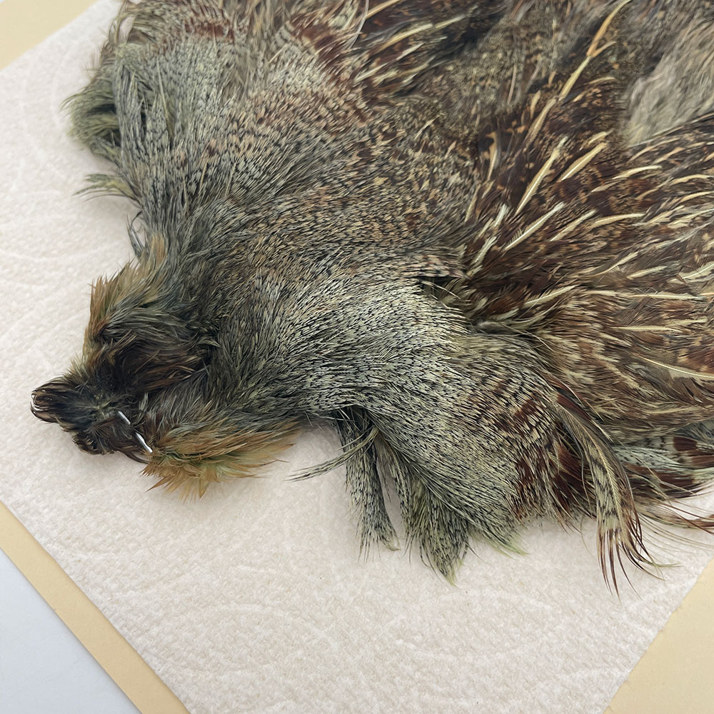 ԡϥ󥬥ꥢѡȥåץ꡼ȥ SAɥ꡼ NO.5