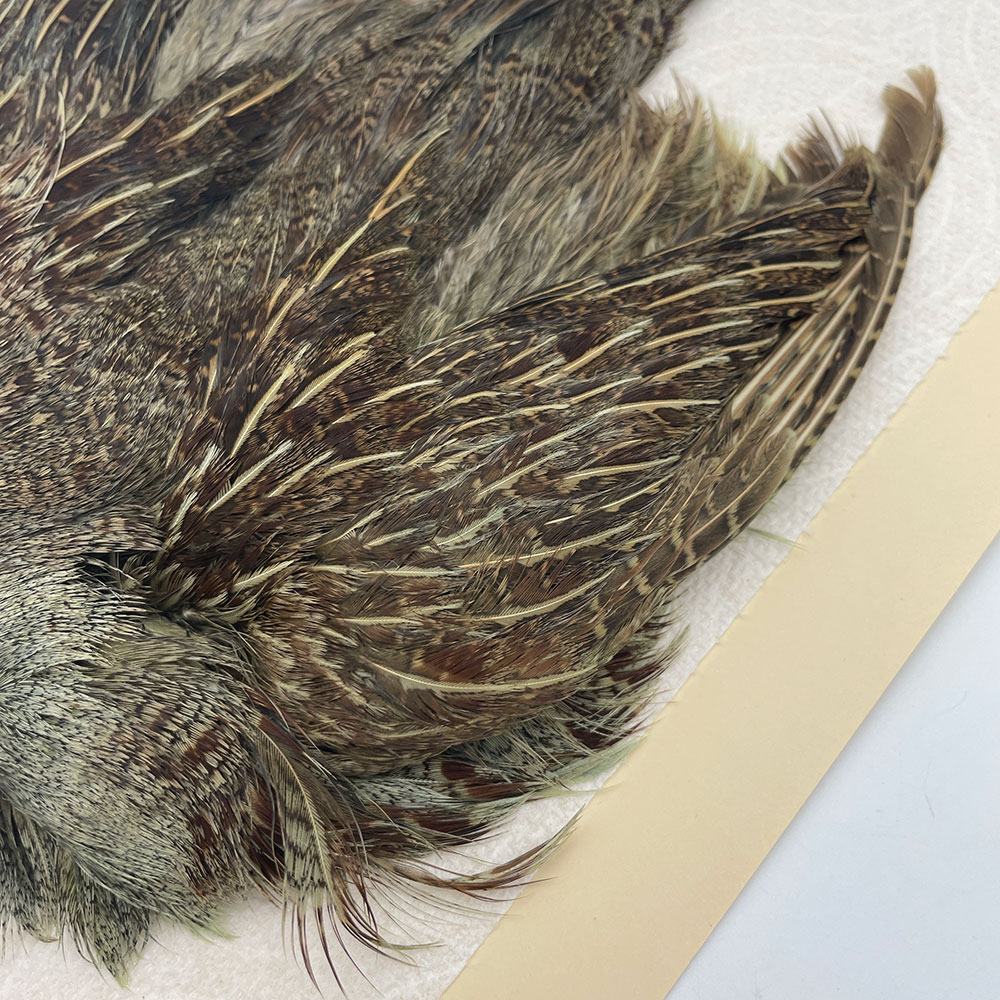 ԡϥ󥬥ꥢѡȥåץ꡼ȥ SAɥ꡼ NO.5