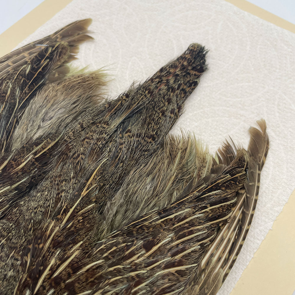 ԡϥ󥬥ꥢѡȥåץ꡼ȥ SAɥ꡼ NO.5