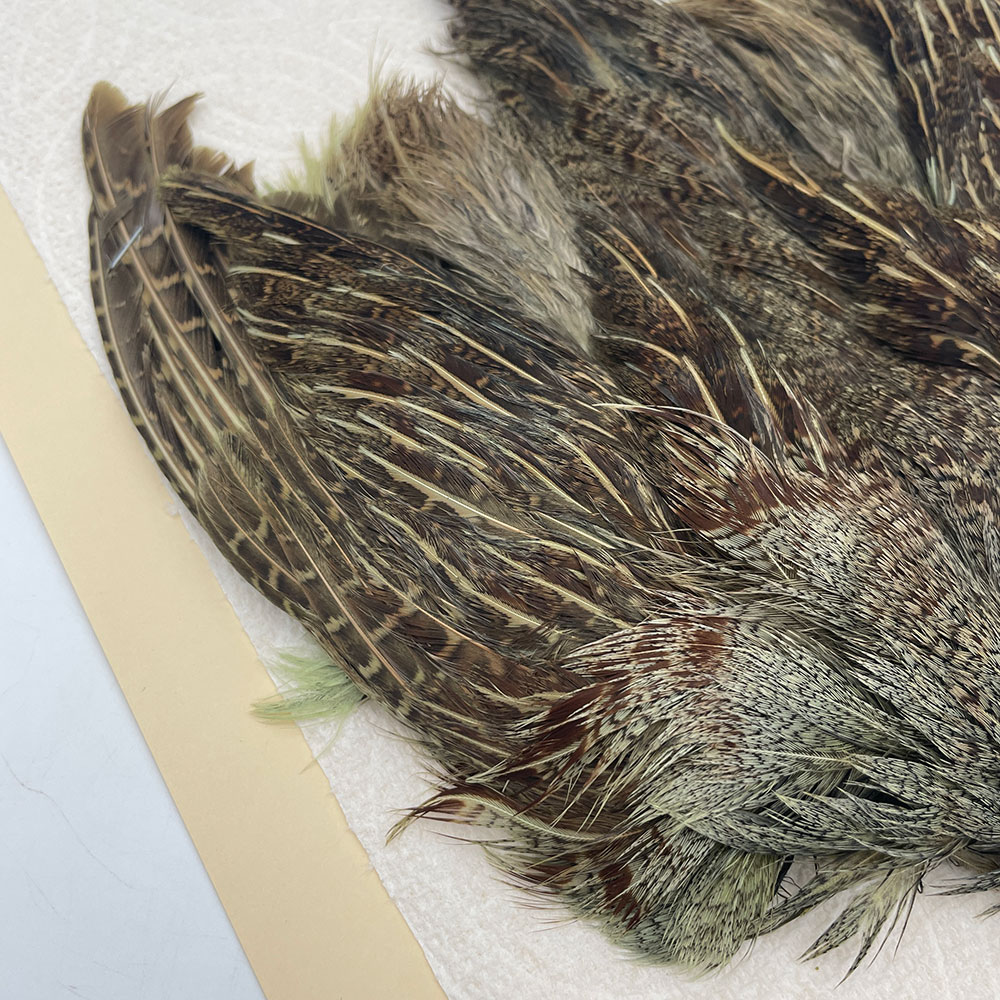 ԡϥ󥬥ꥢѡȥåץ꡼ȥ SAɥ꡼ NO.5