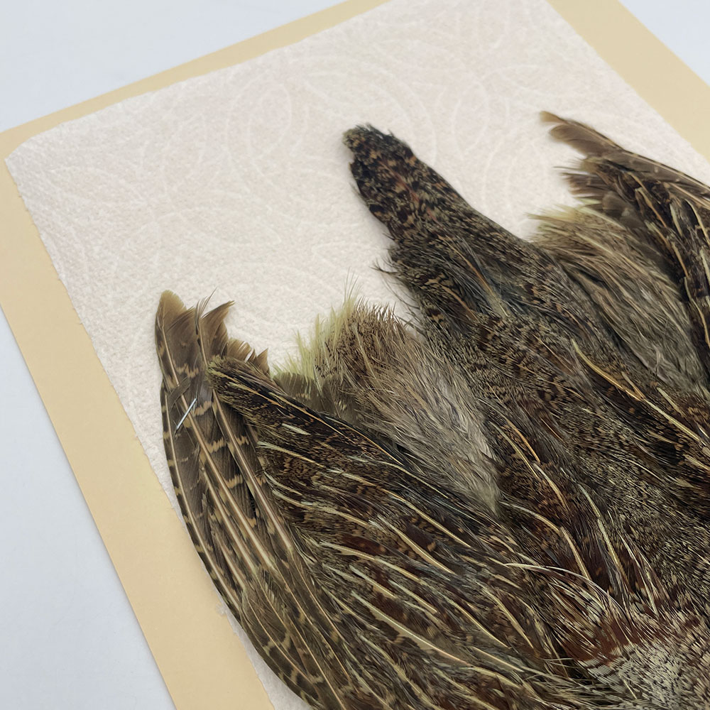 ԡϥ󥬥ꥢѡȥåץ꡼ȥ SAɥ꡼ NO.5