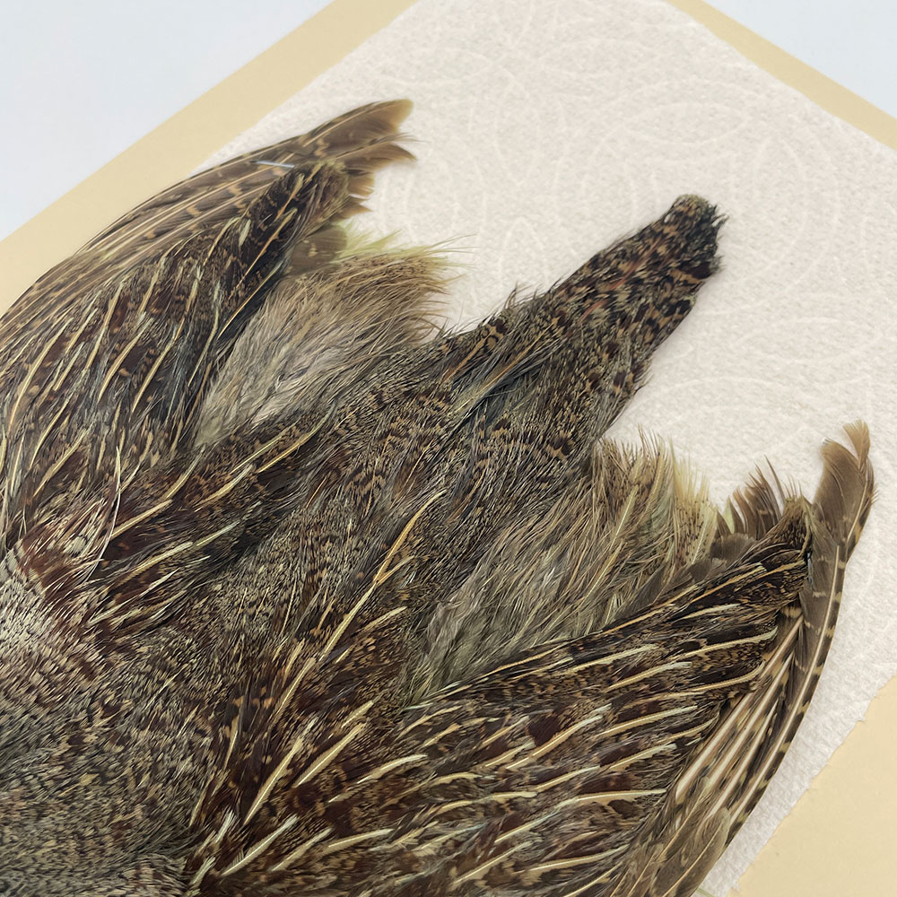 ԡϥ󥬥ꥢѡȥåץ꡼ȥ SAɥ꡼ NO.5