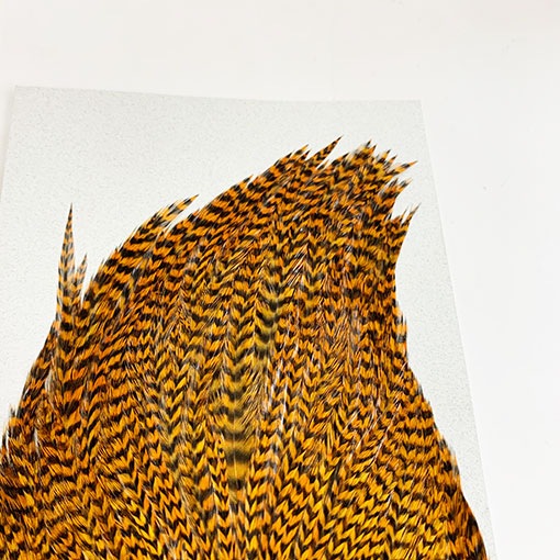 KEOUGH ハックルケープ ＃2 グリズリｰ ジンジャー(No.1)