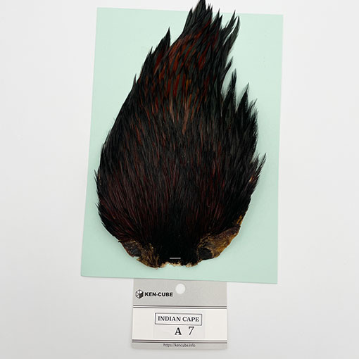 KEN-CUBE�ҡ�����ǥ����󥱡��� ���졼��A