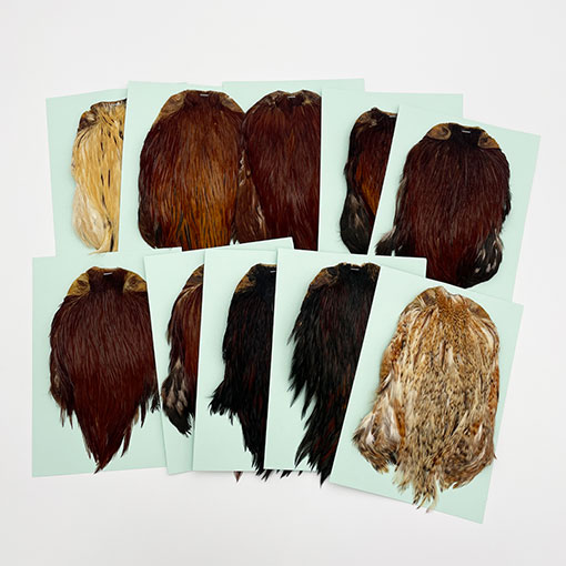 KEN-CUBE社 インディアンケープ グレードA