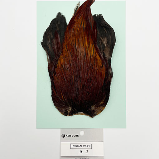 KEN-CUBE�ҡ�����ǥ����󥱡��� ���졼��A