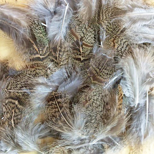 CANAL�ҡ��ѡ��ȥ�å����֥饦��Хå���CN15��